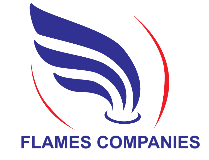 flames logo new